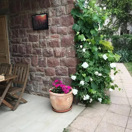 Levendula Apartman *