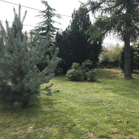 Levendula * Badacsonytomaj