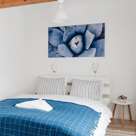 Levendula Apartmanhaz בדקסוניטומאי