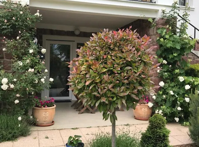 Apartamento Levendula