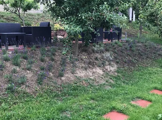 Levendula Badacsonytomaj