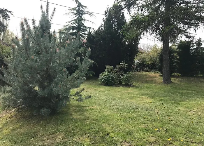 Levendula * Badacsonytomaj