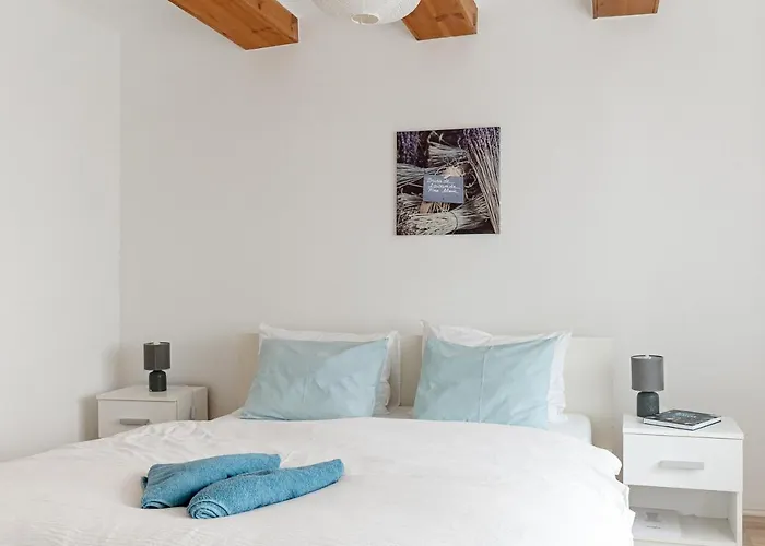 Levendula * Badacsonytomaj