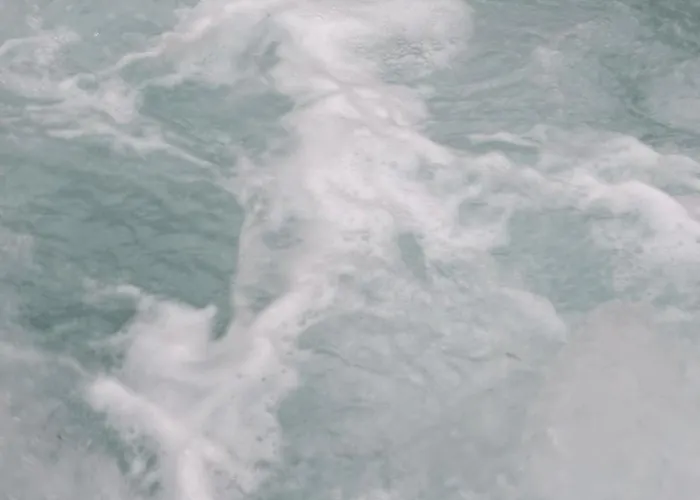 Levendula * Badacsonytomaj